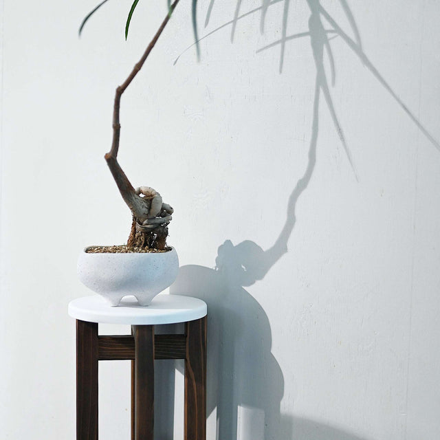 低くて小さなスツール【白】