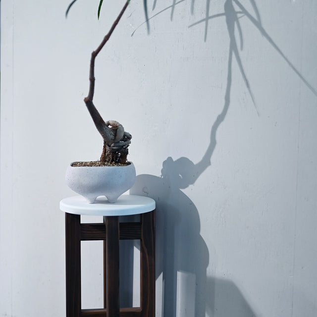 低くて小さなスツール【白】