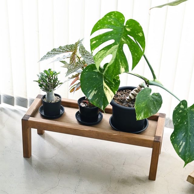 木製プランタースタンド|プランツテーブル Mサイズ