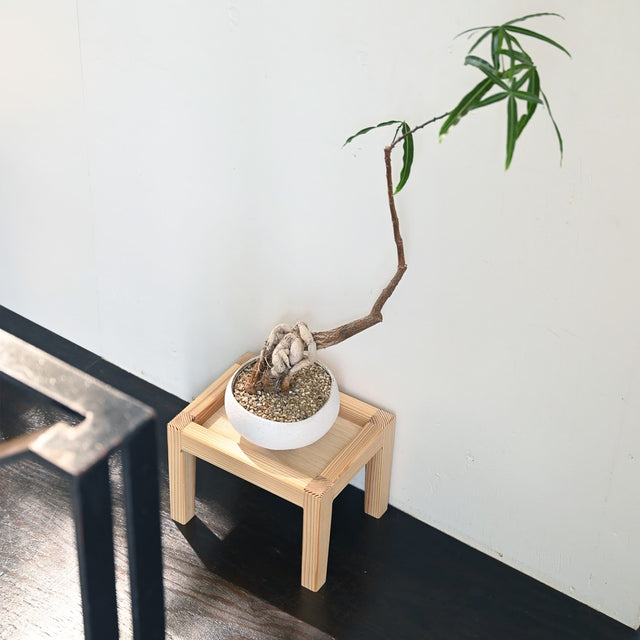 木製プランタースタンド|プランツテーブル Sサイズ