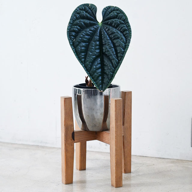 【アウトレット 15%OFF】プランタースタンド Sサイズ