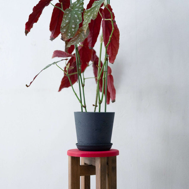 小さなスツール【赤】