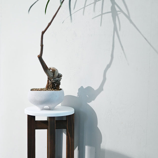 低くて小さなスツール【白】