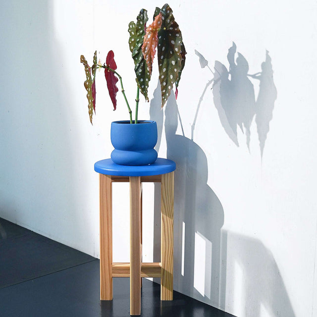 低くて小さなスツール【青】