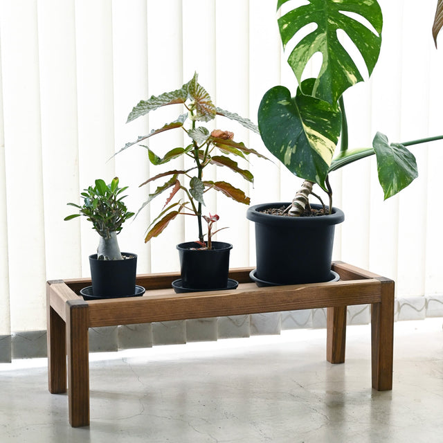 木製プランタースタンド｜プランツテーブル Mサイズ