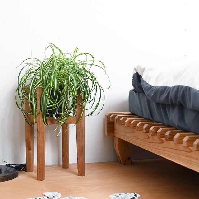 プランタースタンド Mサイズ