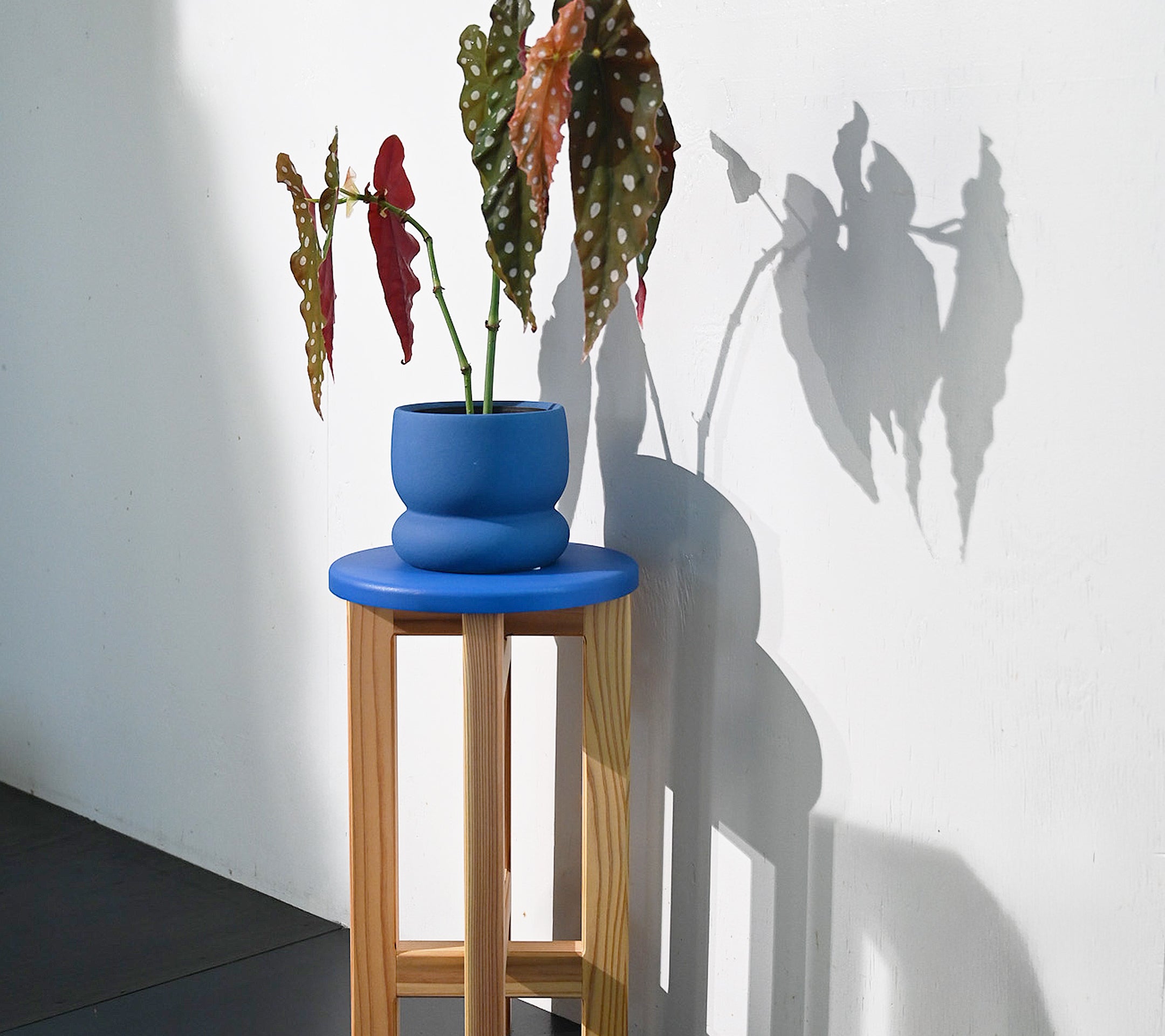 HYTNOS -ひとのす-